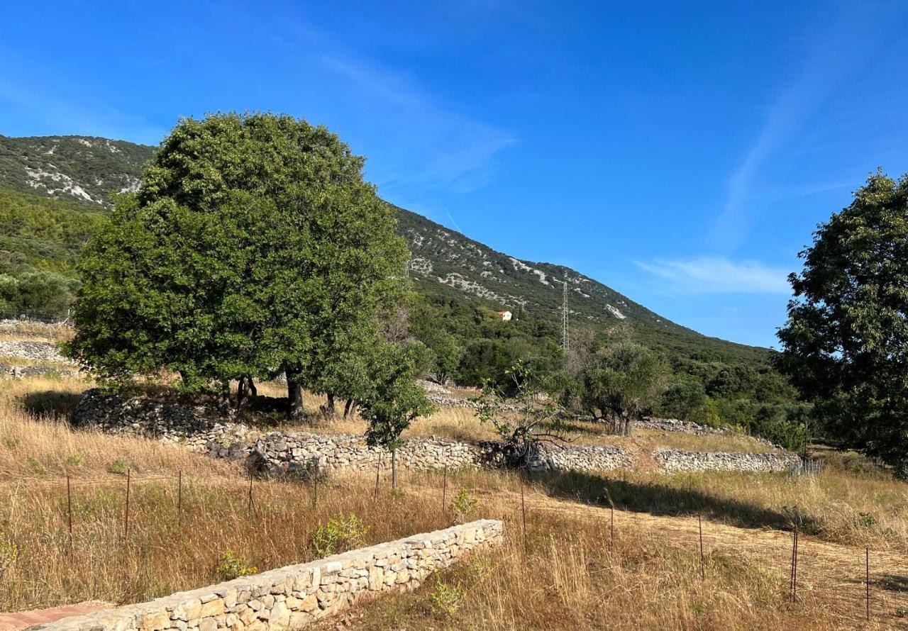 Appartamento Podgora Experience Ii