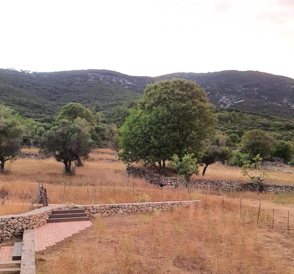 Podgora Experience Ii Nerezine